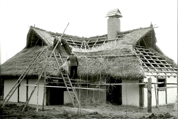 das Dach eines Hauses